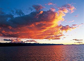 《艾尔登法环》《地平线：西部禁域》《魔咒之地》TGA中文预告