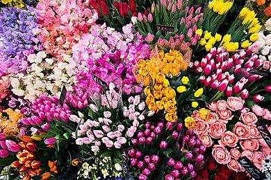 快节奏音游《节奏萌芽》新免费试玩Demo上线 2023年初发售